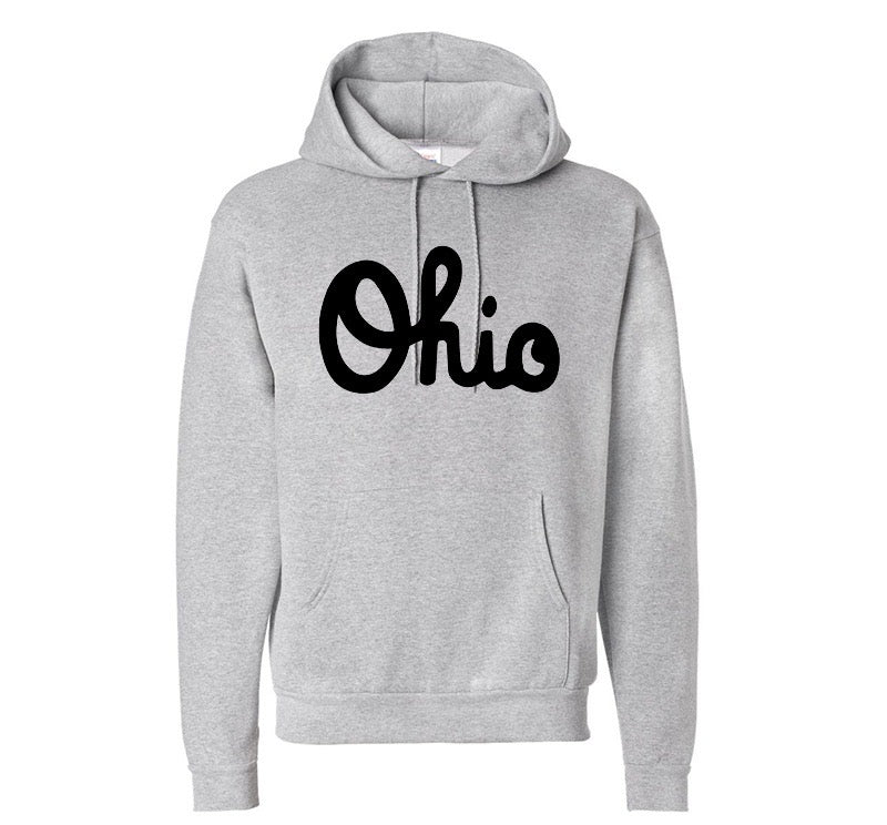Script Ohio Hoodie