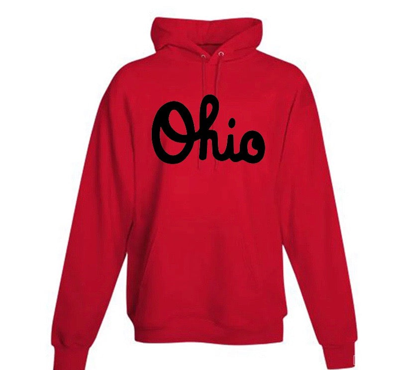 Script Ohio Hoodie