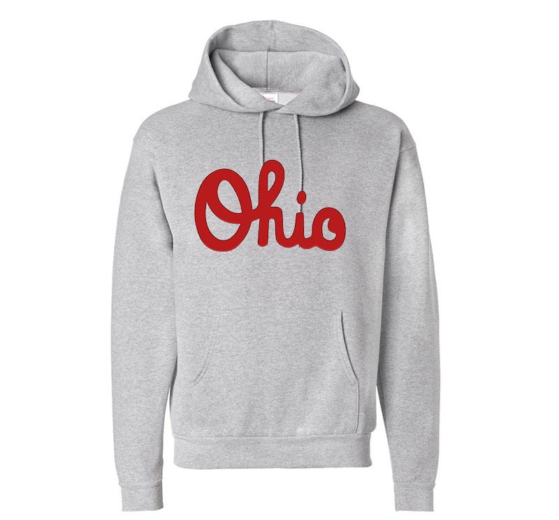 Script Ohio Hoodie